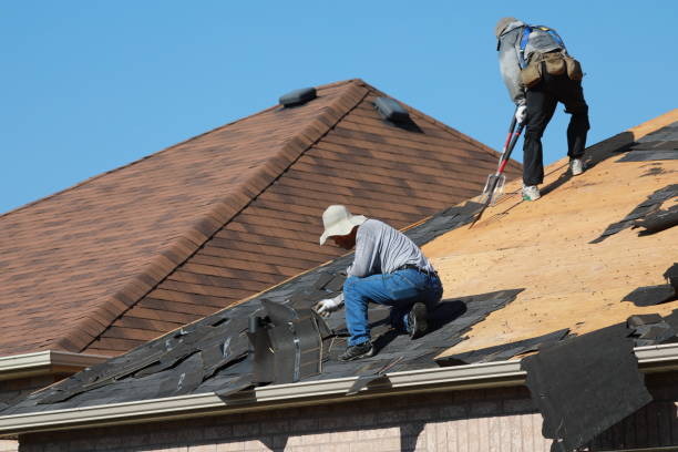 Best Roof Moss and Algae Removal  in Shell Valley, ND